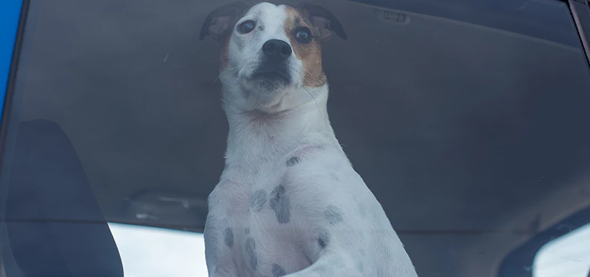 Car Lockout Solutions in Santa Fe Springs, California